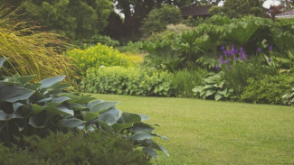 RTH Cilacap Terancam! Tenaga Pemelihara Tinggal 36 Orang, Cukupkah?