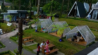 Massapi Cafe: Menikmati Waktu Santai di Hutan Pinus Baturaden, Pengalaman Ngopi di Atas Awan!