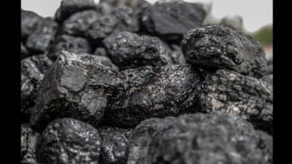 China Ekspor Batubara Kokas ke Sulawesi, Ada Apa di Baliknya?