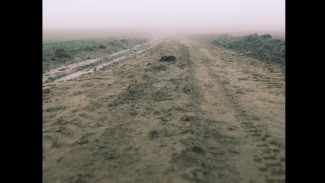 Proyek Bronjong Karangpucung Cilacap Disorot: Tak Ada Plang, Jalan Rusak Parah!