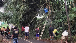 Pemkab Banyumas Bersama Warga Kerja Bakti Tebang Pohon yang Ganggu Akses Jalan Kedungbanteng