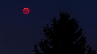 Punya Weton Ini? Kamu Termasuk Orang yang Paling Beruntung di 2025 Menurut Primbon Jawa!