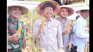 Bupati Kudus Turun ke Sungai! Ada Apa di Kali Tumpangkrasak?