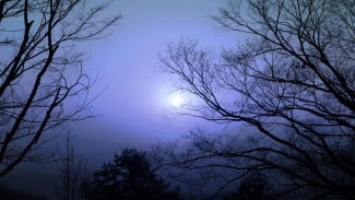 Rahasia Spiritualitas Malam Satu Suro: Tradisi Jawa Kuno yang Masih Bertahan di Tengah Dunia Serba Digital