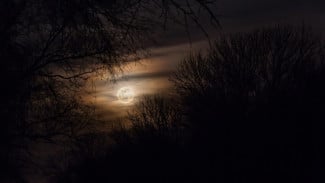 Lahir di Weton Pahing Saat Bulan Suro? Mungkin Kamu Anak Terpilih untuk Menebus Dosa Leluhur dan Karma Keluarga!