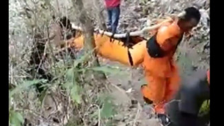 Dari Jurang ke Helikopter: Tahapan Pemindahan Jenazah Juliana Marins Usai Proses Evakuasi di Rinjani