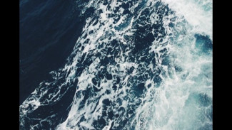 Misteri Larung Sapi di Pantai Sembukan Wonogiri, Kenapa Harus Sapi Jantan Putih Bertanduk?