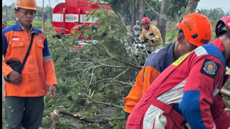 Mobil Damkar Baru Cilacap  Rp Miliaran Masih Menganggur, Belum Lolos Verifikasi?