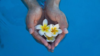 4 Weton Pilihan Khodam Bunga Wijaya Kusuma, Rezeki Selalu Mengalir Deras!