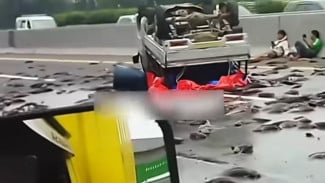 Geger! Ikan Lele Berhamburan di Tol Jakarta-Cikampek, Usai Truk Kecelakaan