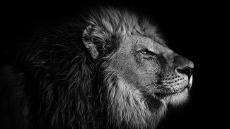 Inilah 4 Weton Dinaungi Khodam Ganas, Energinya Ditakuti dan Disegani!