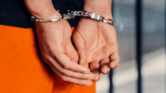 Ekstradisi Pertama RI ke Rusia:  Siapa Sebenarnya Alexander Vladimirovich Zverev Apakah Penjahat Kelas Kakap?