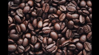 Bermodal HP, 3 Napi Lintas Lapas Sukses Tipu 30 Ton Kopi Senilai Rp 688 Juta