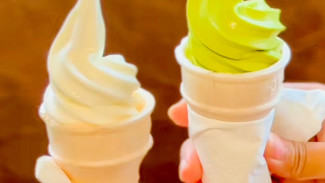 Ngafe Dapet Es Krim Cuma 5 Ribu? Cuma di Arasta Alpha Purwokerto