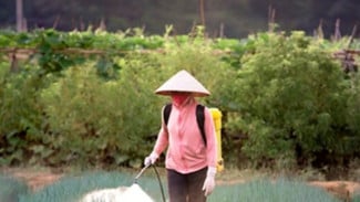 Setelah Beras Oplosan, Kini Petani Dihantam Pupuk Palsu! Rugi Rp3,2 Triliun