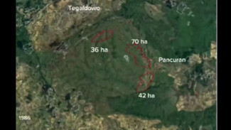 Dari Hutan ke Tambang: Jejak Degradasi Watuputih Rembang 1986 sampai 2024 dalam Video Viral