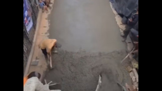 Viral! Mahasiswa 19 Tahun Jadi Ketua RT, Langsung Cor Jalan Pakai Rp23 Juta Pakai Dana Swadaya