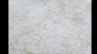 Waspada Beras Oplosan! Ini 5 Ciri Ciri dan Cara Menghindarinya