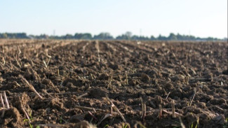 Muhammadiyah Dukung 1,4 Juta Tanah Terlantar Diberi ke Ormas, Tapi Ingatkan Soal Ini!