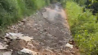 Kondisi Jalan Rusak Cukup Parah di Jalur Alternatif Desa Donowangun Pekalongan