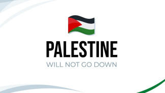 Negara Asia Ini Tak Akui Palestina: Menguak Alasan di Balik Sikap Kontroversial Mereka