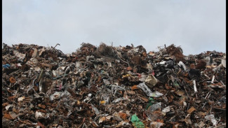 Asap Tak Kenal Batas! Konflik Sampah di Perbatasan Demak dan Semarang Memanas