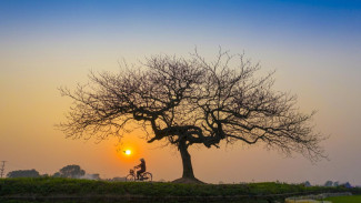 Rahasia Jumat Legi: Waspadai Hari Sial dan Raih Kejayaan