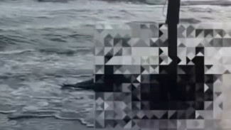 Tragis! Dua Balita Ditemukan Meninggal di Pantai Sigandu Batang, Kondisi Mengenaskan