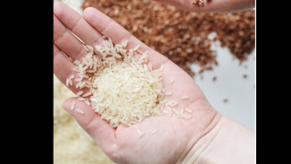 Ironi Bantuan Pangan: Beras 10 Kg Dijual Warga Blora Rp100 Ribu di Pasar