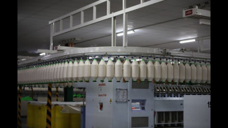 Dulu Jaya, Kini Tinggal Kenangan: Kisah Pilu Eks Patal Cilacap