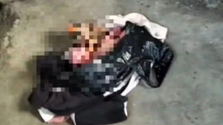 Geger! Penemuan Bayi Dibuang di Depan Warung Kosong Desa Sijeruk, Pekalongan