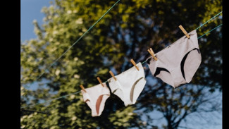 Teror Misterius di Pekalongan: Celana Dalam Tiba Tiba Muncul di Pohon dan Genting