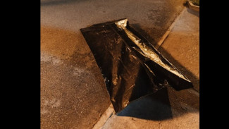 Pencuri Kayu di Sragen Tewas Jatuh ke Jurang Saat Dikejar Mandor Perhutani