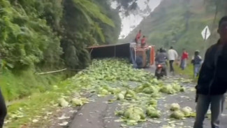 Gagal Nanjak! Truk Kol Terguling di Tanjakan Sikelir Wanayasa, Muatan Berserakan