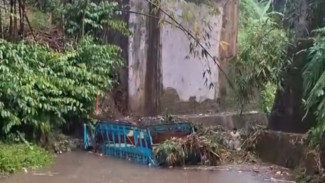 Baru Saja! Kecelakaan Truk Pengangkut Pohon Jagung Terjun Bebas ke Sungai di Gumiwang, Banjarnegara