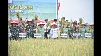 Panen Raya di Kebumen, Pangdam IV Puji Inovasi Traktor Siluman