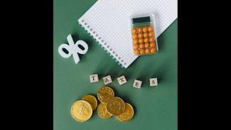 Heboh! 5 Daerah Ini Alami Lonjakan PBB Fantastis hingga 1200 Persen