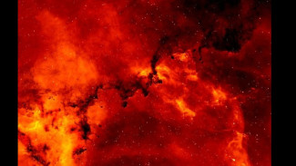 Tragedi Blora: Korban Kebakaran Sumur Minyak Bertambah, Warga Panik Mengungsi