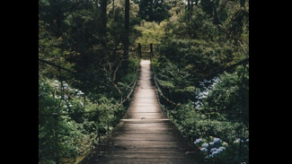 Heboh! Proyek Jembatan Kali Tipar Rp5,8 Miliar di Cilacap Dibongkar Usai Ditemukan Cacat Pekerjaan