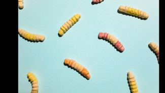 Kasus Balita Raya, Kemenkes Tegaskan SOP Baru Obat Cacing Harus Disaksikan Petugas Kesehatan