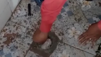 Dramatis! Seekor Kucing Terjebak di Dalam Saluran Pembuangan Air Kamar Mandi Milik Warga Purwokerto