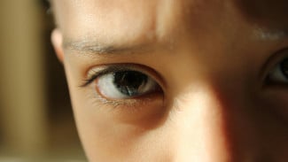 Geger! Calon PPPK Penjaga Sekolah di Purbalingga Diduga Lakukan Kekerasan Seksual pada Siswi