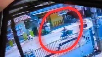 Geger! Sebanyak 16 Ekor Ayam Potong Raib Dicuri Pelaku Gunakan Motor di Wiradesa Pekalongan