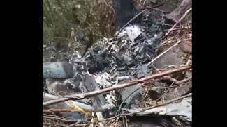 Isi Pesan Terakhir Korban Helikopter Kalsel Sebelum Ditemukan: Saya Dalam Keadaan Kritis