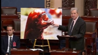 Senator AS Gegerkan Publik: Udang Beku dari Indonesia Bisa Bikin Jadi Alien