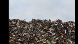 Petani Resah, Sampah TPS Thamrin CilacapTerbawa Angin Masuk Persawahan