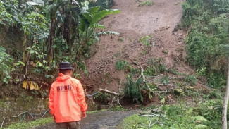 Tanah Longsor Timpa 3 Titik Lokasi di Kecamatan Pandanarum, Banjarnegara Akibat Hujan Deras