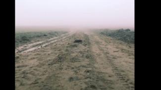 Warga Sragen Pertanyakan Status Tanah Kas Desa Jeruk yang Dikuasai PTPN IX