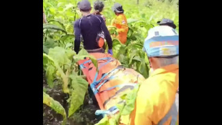 Misteri Kematian Walrohmat di Ladang Seboto, Ngadirejo Temanggung: Hilang 4 Hari Baru Ditemukan