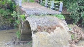 Viral! Kondisi Jembatan di Atas Sungai Ranu Kaligondang Memprihatinkan, Butuh Perhatian